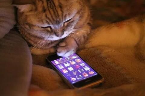 以为没事其实很毁眼的8件事，看看你中了几个