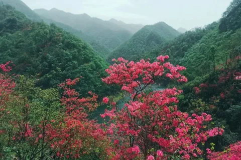 现在的年轻人，在上班和上学之间选择了上山