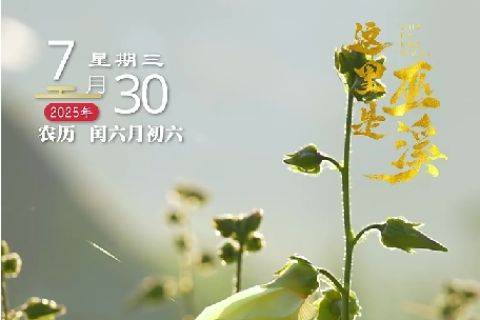 &ldquo;濒危植物金花葵&rdquo;特色农产品走进寻常百姓家