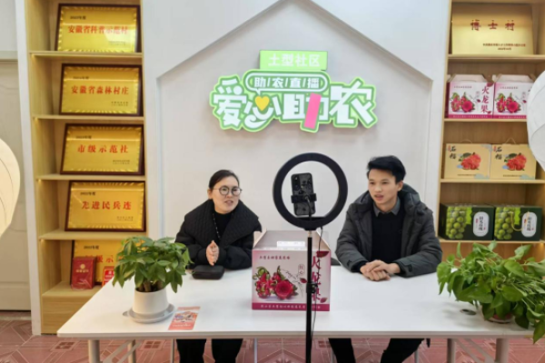 安徽淮北市烈山镇土型社区：党建引领信用村，金融客栈显实效