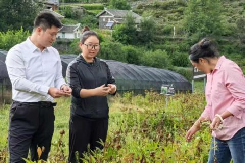 鹏背上的驻村密码&mdash;&mdash;记四川省甘孜州九龙县呷尔镇华丘村华丘村第一书记费腾