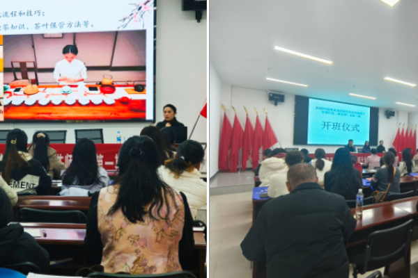 以茶为媒育技能&mdash;&mdash;2026年勐海县茶艺师专项培训班圆满举办
