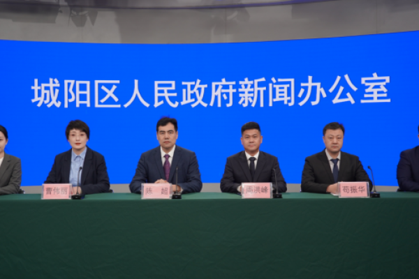 青岛城阳：以运营聚活力 以招商强产业，推动乡村振兴片区实现可持续高质量发展