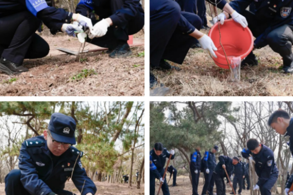 藏蓝赴一场春天的约定，为岛城平安底色添新绿