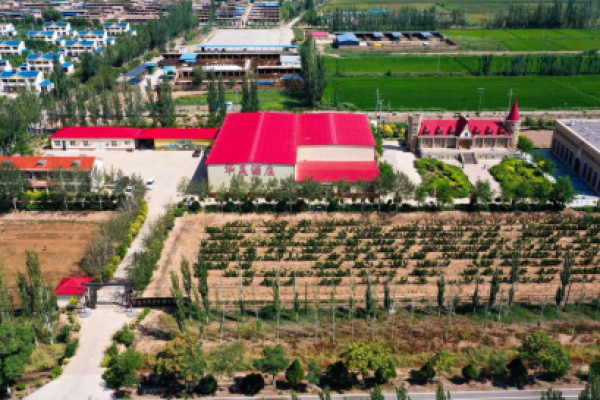 宁夏华昊酒庄：以匠心铸就品牌 以品牌开拓市场