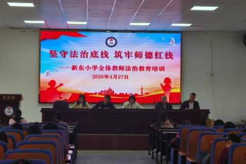 坚守法治底线 筑牢师德红线&mdash;&mdash;武冈市新东小学开展教职工法治教育培训