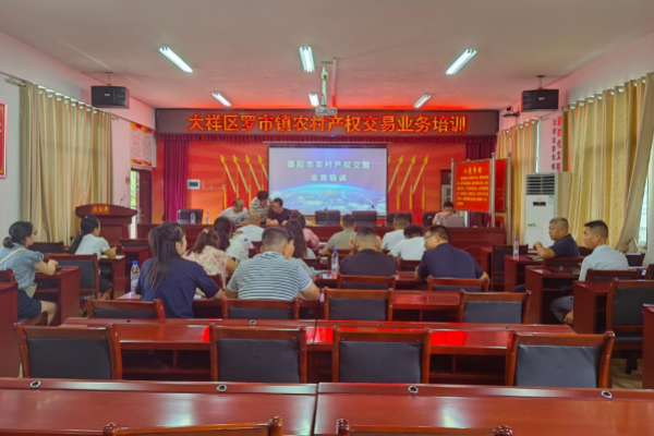 湖南省邵阳市大祥区罗市镇：党建引领&ldquo;阳光交易&rdquo;激活沉睡资源新动能&mdash;&mdash;邵阳市大祥区罗市镇举办培训为乡村振兴注入&ldquo;红色引擎&rdquo;