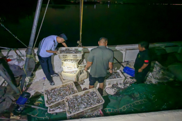 青岛深夜亮剑 查获1艘违规捕捞快艇